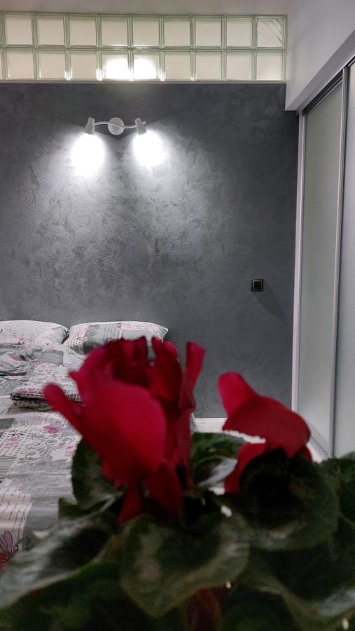 Apartman 23 Белград Екстериор снимка